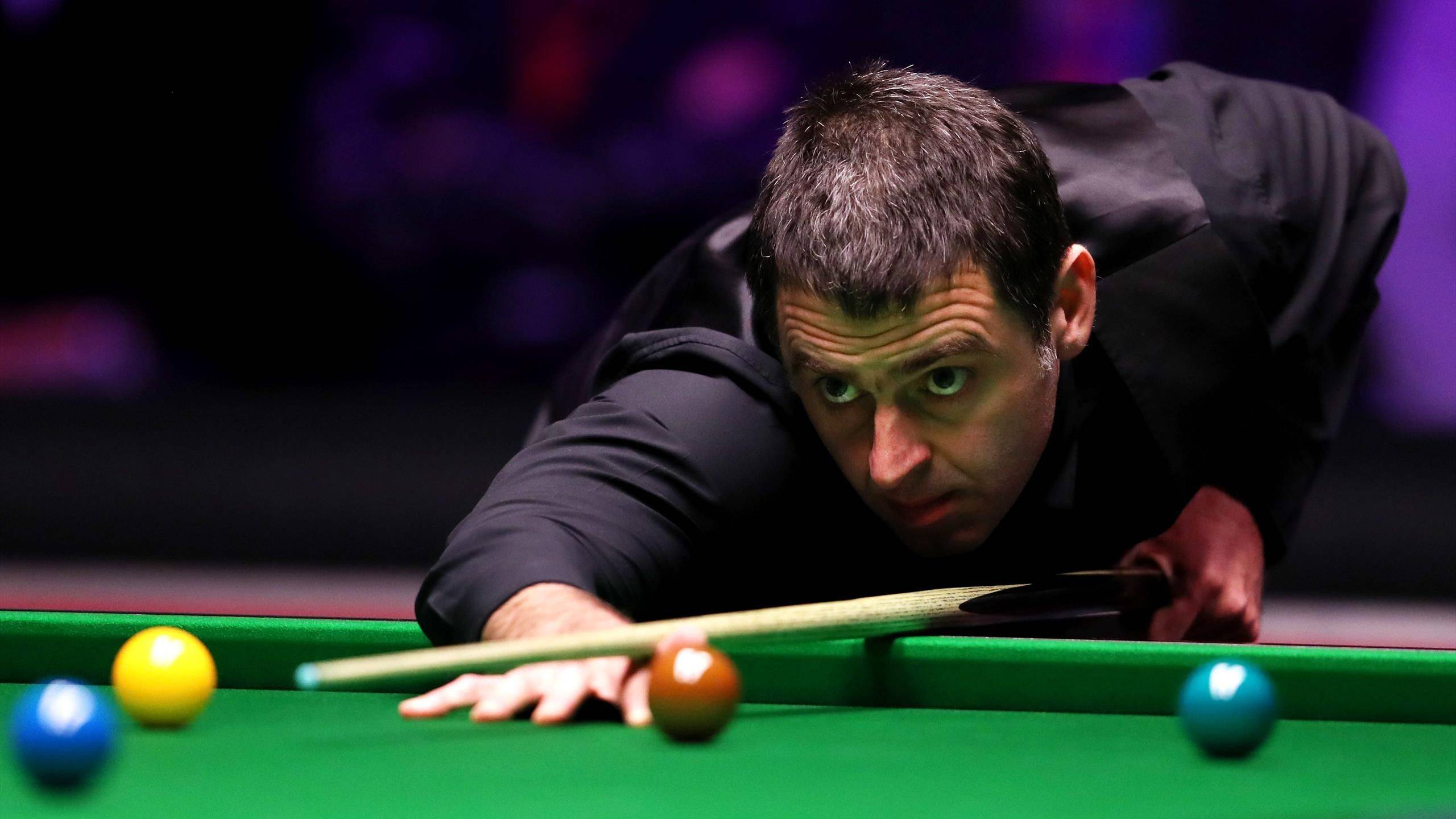 占据了重要 占据了重要