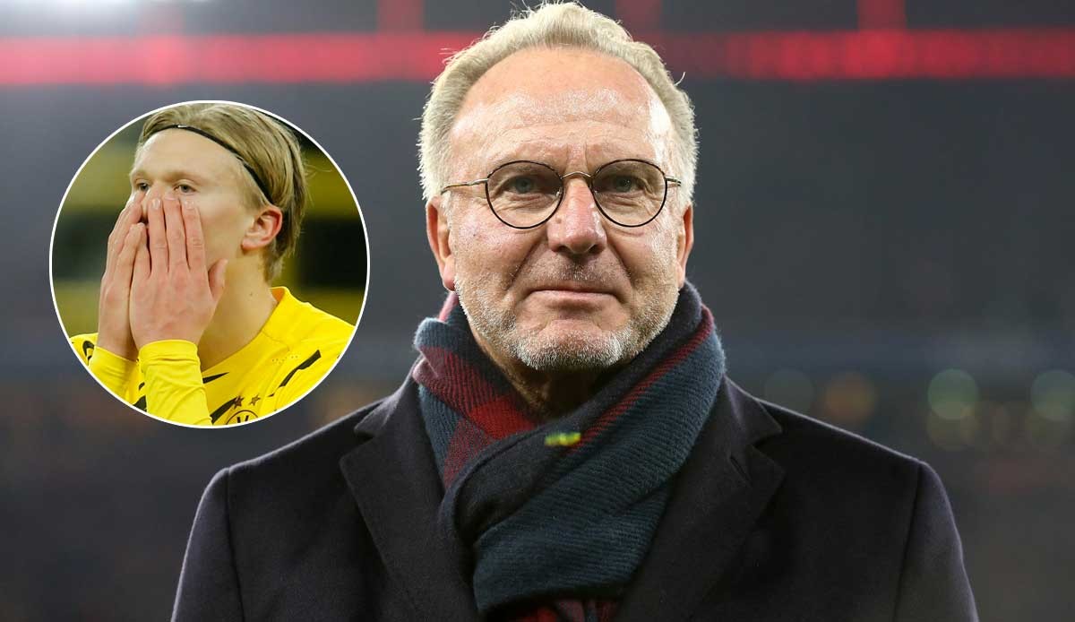 势不再稀缺 势不再稀缺